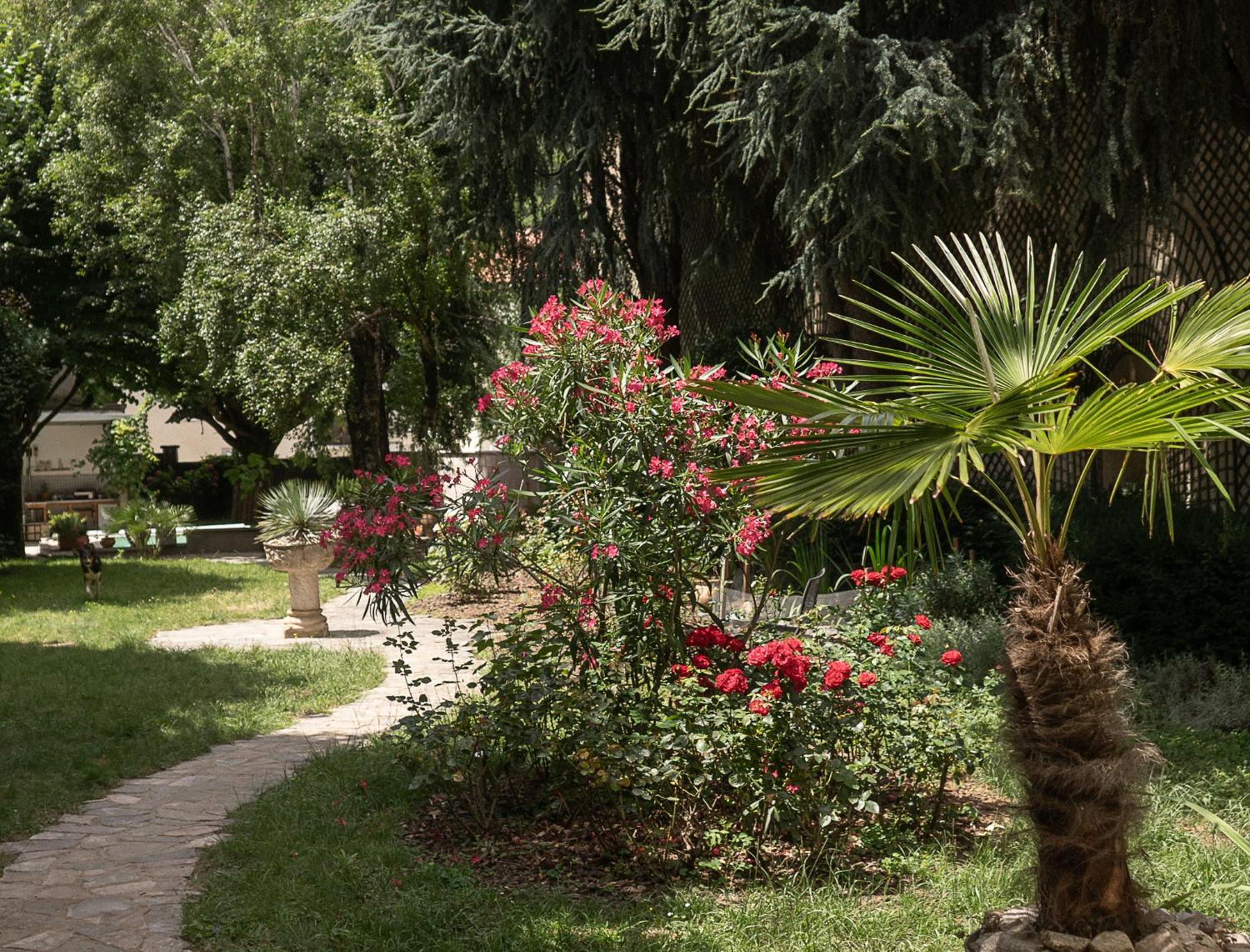 Residence Midi Mazamet Buitenkant foto